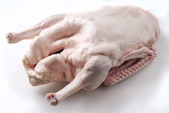 Raw Goose Roast - Free-Form-Select