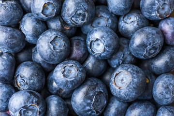 Fresh Blueberries Background