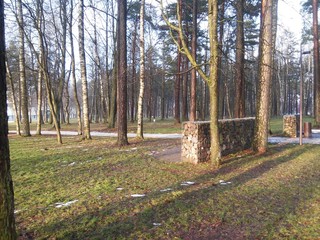 Obraz premium The path from Lithuania's park