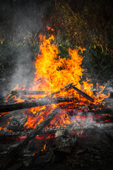 Burning firewood in big bonfire