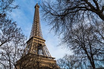 Tour Eiffel between branches