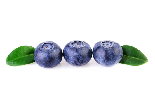 three blueberries in a row straight line isolated on white