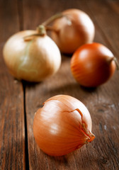 Onions and peel on an old rural table © sergey makarenko