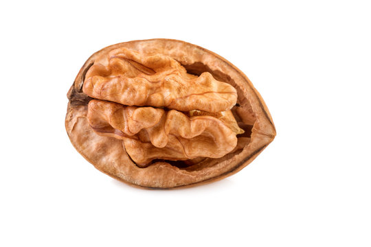 nut half of one walnut on white close up