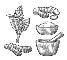 Turmeric root, powder and flower with pestle and mortar. - obrazy, fototapety, plakaty