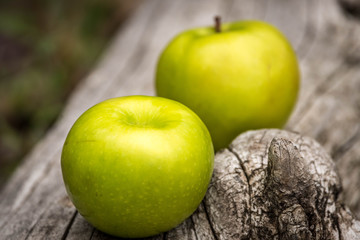 Green apples on a log