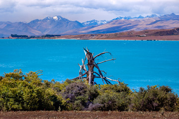 Landscape view of lake Tekapo and mountains, New Zealand