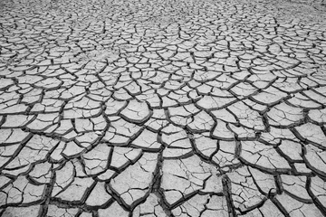 Deurstickers cracked clay ground, drought land background © Jose Ignacio Soto