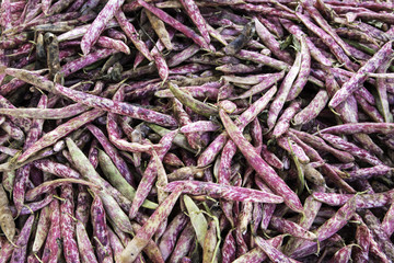 composizione orizzontale fotografia colore primo piano insieme baccelli fagioli freschi 