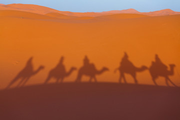 Fototapeta na wymiar Shadows of camel caravan on desert dunes. Sahara Desert at sunset