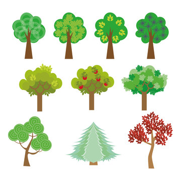 trees set in a flat design style to the streets or park. Vector, illustration EPS10.