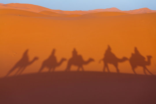 Shadows of camel caravan on desert dunes. Sahara Desert at sunset
