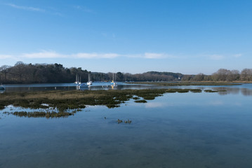 Sailboats anchored in the Morbihan gulf, Island of Conleau, Brit