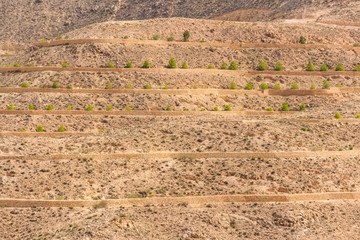 Desert landscape in North Africa