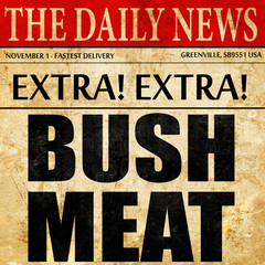 bushmeat, newspaper article text