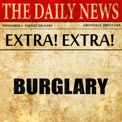 burglary, newspaper article text