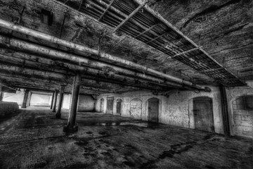 Under the Brighton Pier