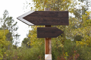 Escoger dirección madera