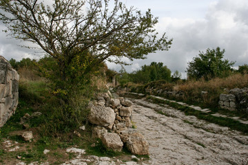 Fototapeta na wymiar The tree near the stony road in the medieval cave city Chufut-Kale near Bakhchisarai, Crimea