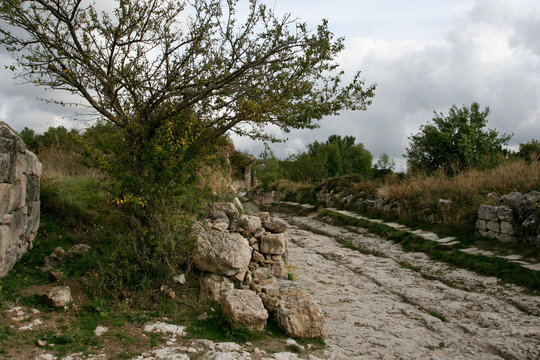 The tree near the stony road in the medieval cave city Chufut-Kale near Bakhchisarai, Crimea