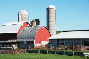 Dairy Farm