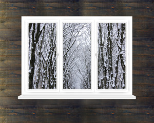 snow-clad crowns of trees in the window