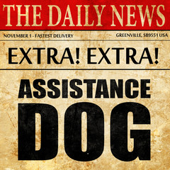 assistance dog, newspaper article text