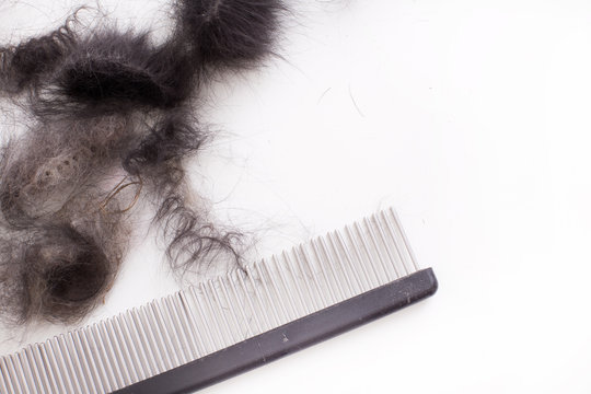 Dog grooming tool with animal fur