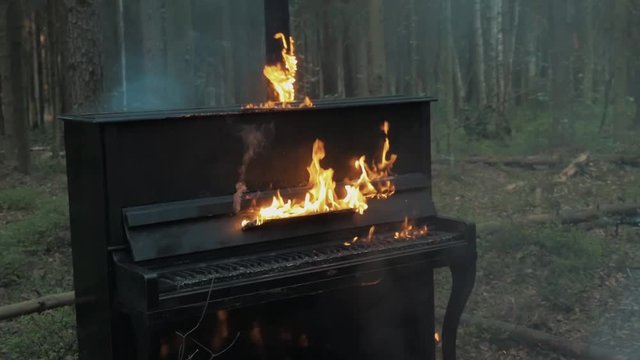 Slowmotion high flames burning black piano and tree trunk in forest woods sprayed with flammable liquid
