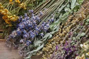 Bunch of healing herbs on wooden board. Herbal medicine. Top view.