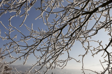 Fototapeta na wymiar Fairytale snowy winter countryside with blue Sky in Bohemia, Czech Republic