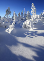 Tief verschneite unberührte Winterwildnis, schneebedeckte Tannen, funkelnde Schneekristalle, blauer Himmel, Panorama