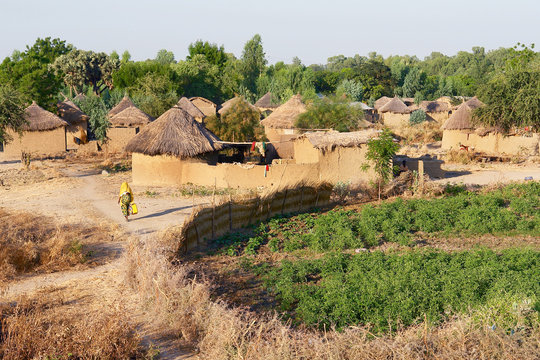 Traditional village in Cameroon
