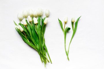 Top view of white tulips