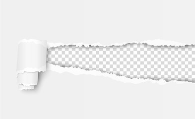 Vector ripped sheet of paper with soft shadow