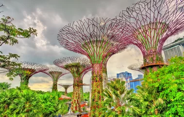 Wandcirkels tuinposter Gardens by the Bay, a nature park in Singapore © Leonid Andronov
