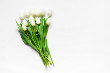 Top view of white tulips