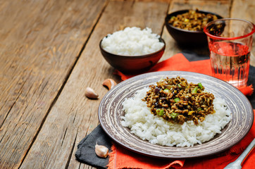 Spicy Indian minced meat with rice