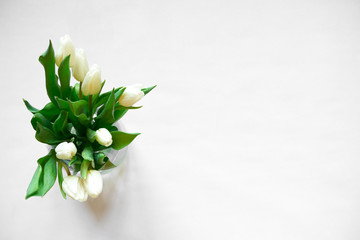 Bouquet of white tulips in vase