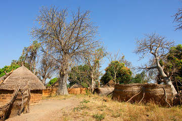 Traditional village in Cameroon
