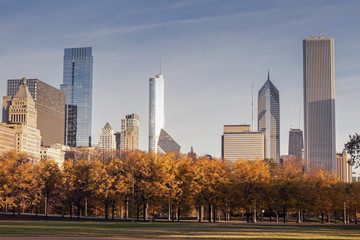 Fototapeta premium Autumn in Chicago