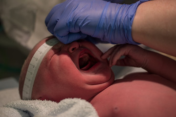 Newborn baby being examined by paediatric doctors moments after birth with tape measure and gloves checking vital signs and head size in neonatal care crying caucasian female daughter