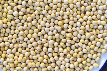 beans
