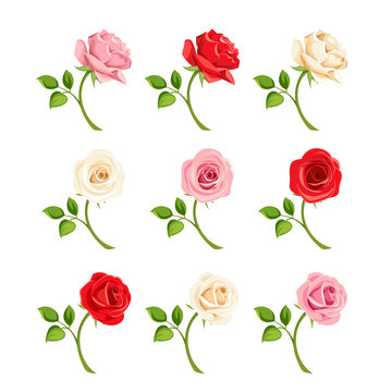 Vector set of red, pink and white roses with stems isolated on white.