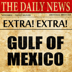 gulf of mexico, newspaper article text