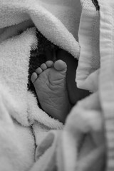 Newborn baby foot from caucasian female girl surrounded in towels used to swaddle the baby in hospital in black and white for background