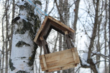 Wooden feeder on tree
