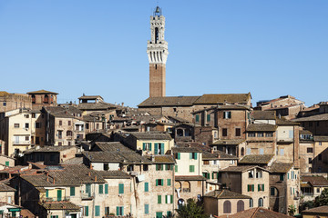Fototapeta na wymiar Tower of Siena town hall