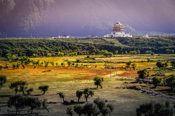 Fototapety na wymiar - Fototapeta24.pl