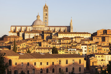 Fototapeta premium Siena Cathedral in Siena